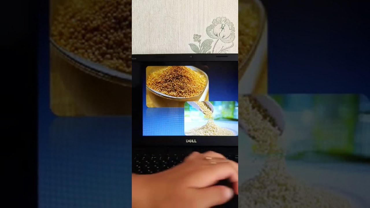 Тары дақылының маңызы